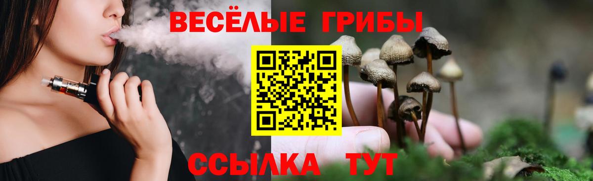Псилоцибиновые грибы GOLDEN TEACHER Гуково